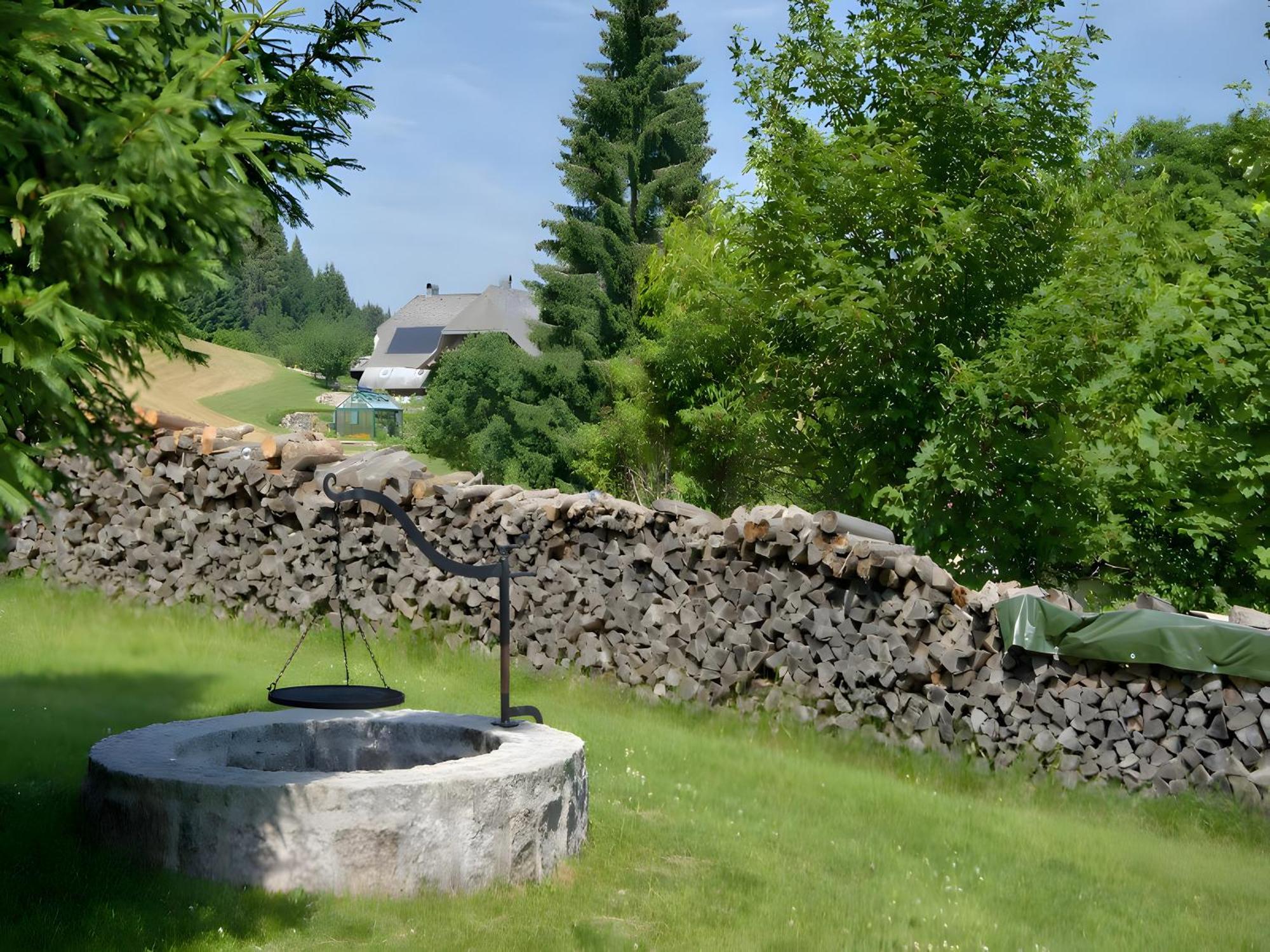 Gasthaus-Pension Zum Loewen Grafenhausen Exteriör bild