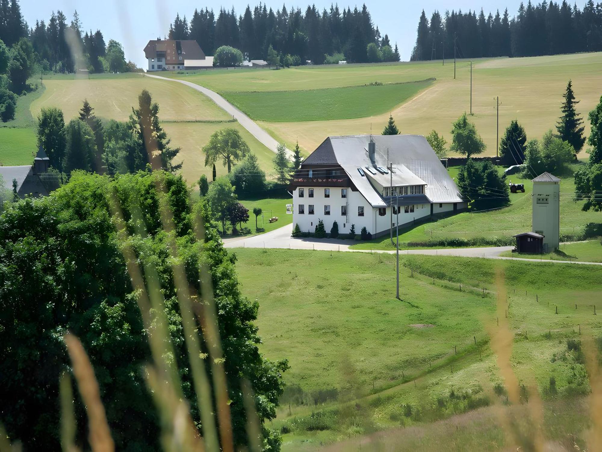 Gasthaus-Pension Zum Loewen Grafenhausen Exteriör bild