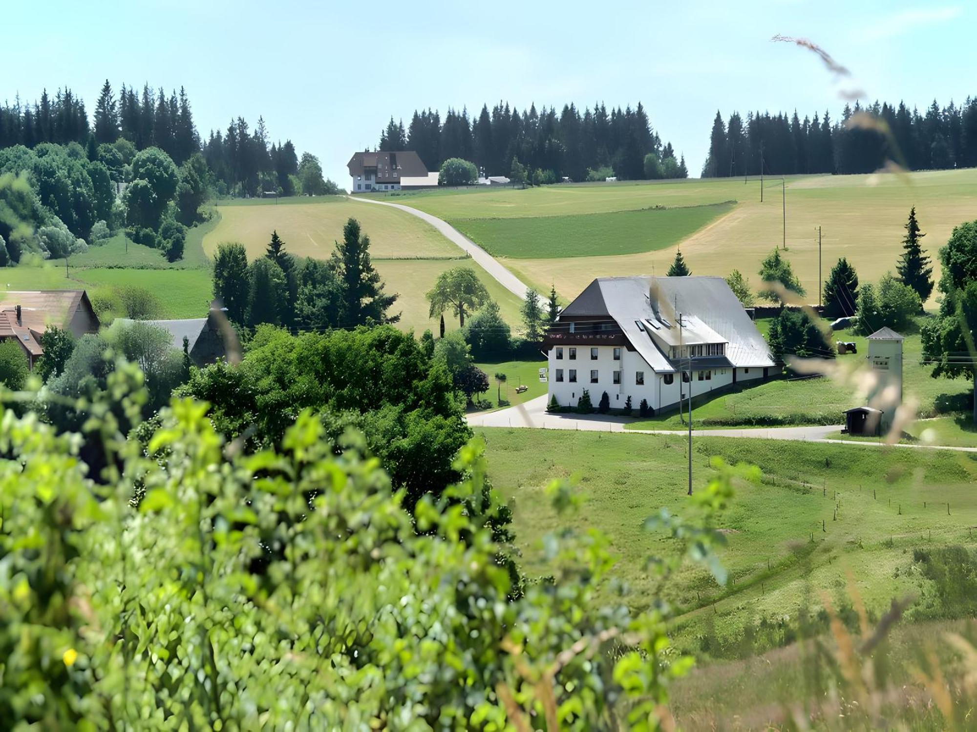 Gasthaus-Pension Zum Loewen Grafenhausen Exteriör bild