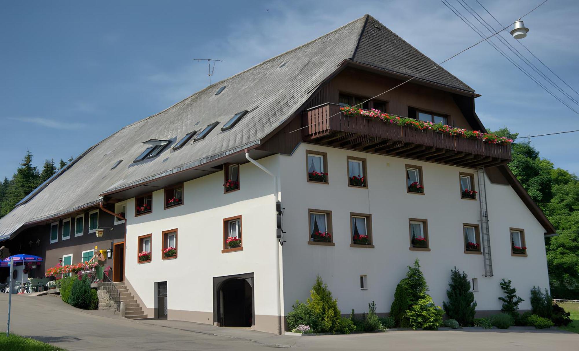 Gasthaus-Pension Zum Loewen Grafenhausen Exteriör bild