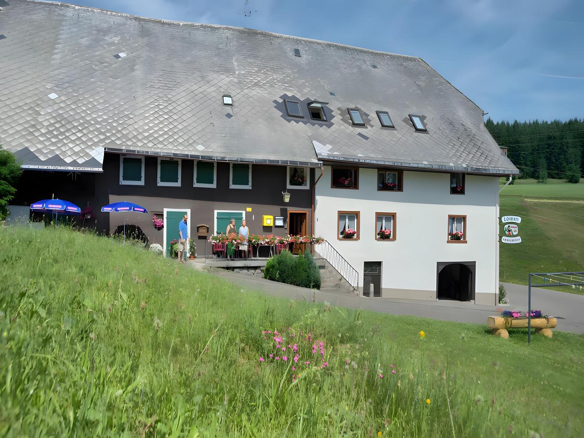 Gasthaus-Pension Zum Loewen Grafenhausen Exteriör bild